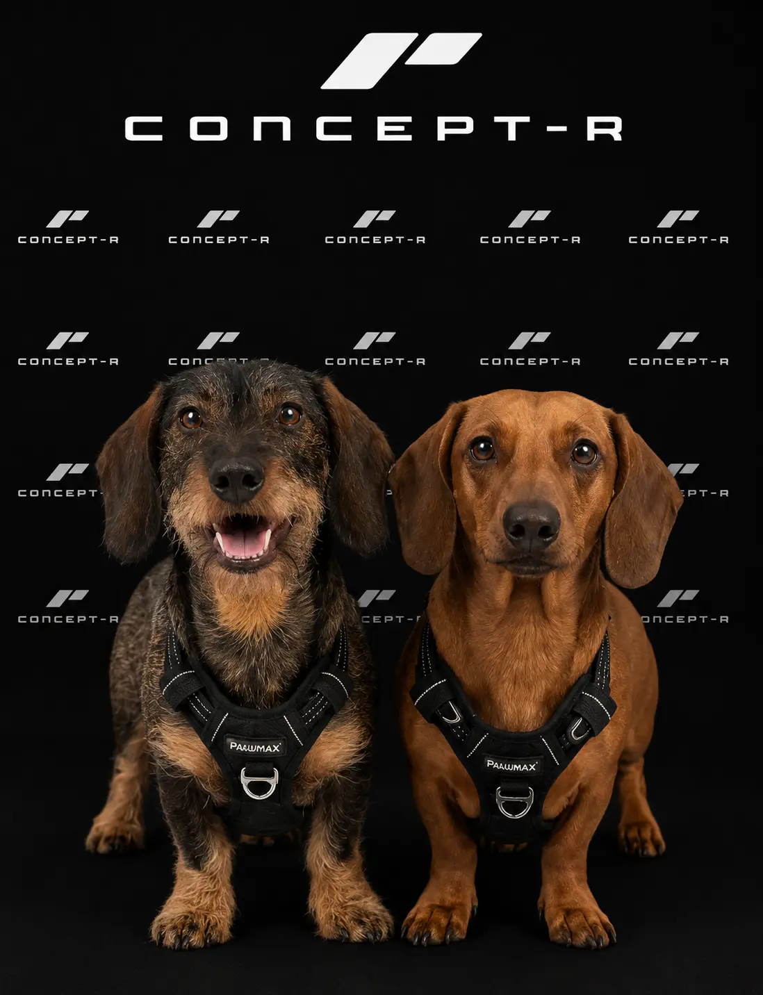 Concept-R Performance team member